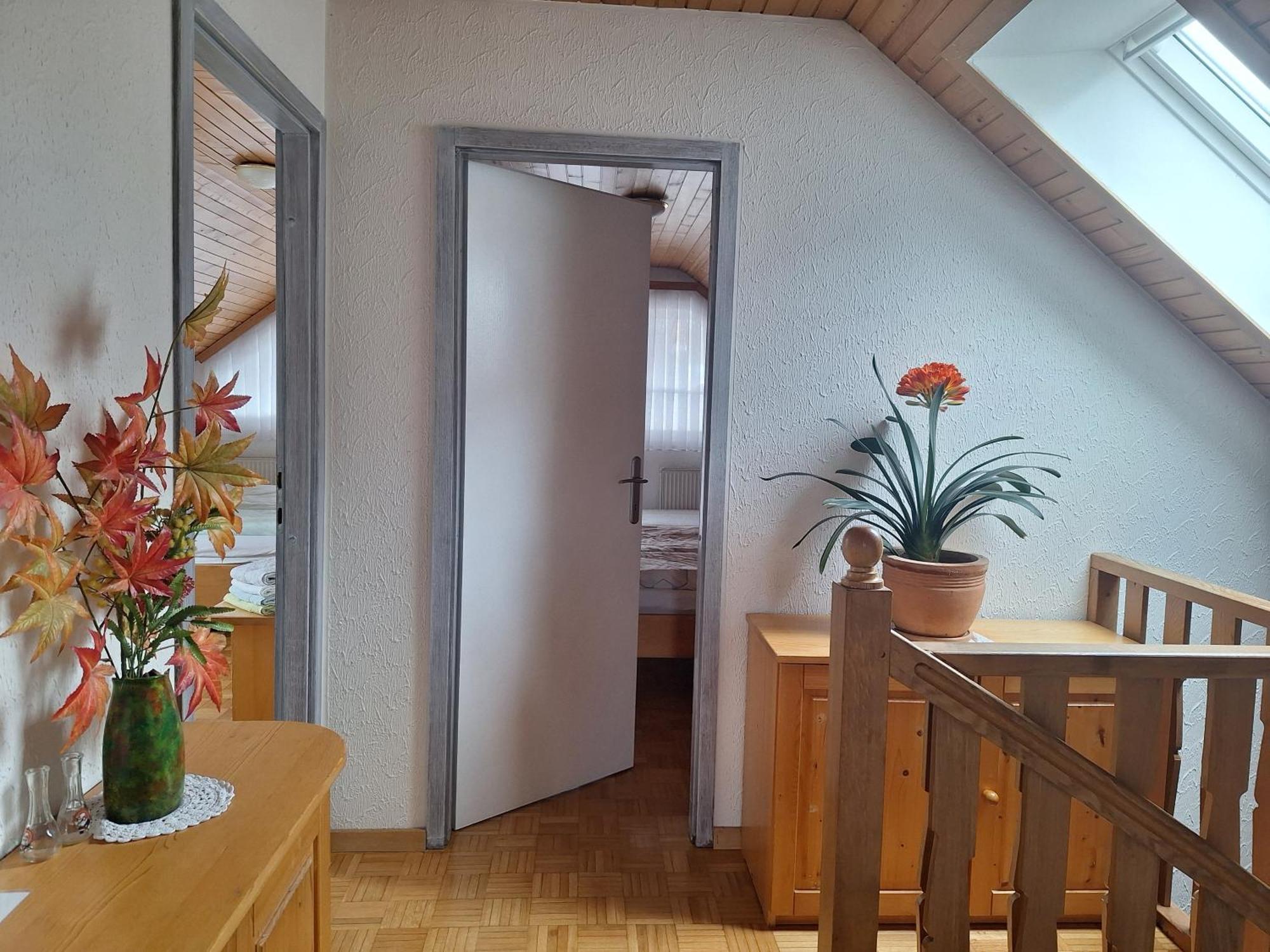 בוהין Apartmaji Marinka Hodnik מראה חיצוני תמונה