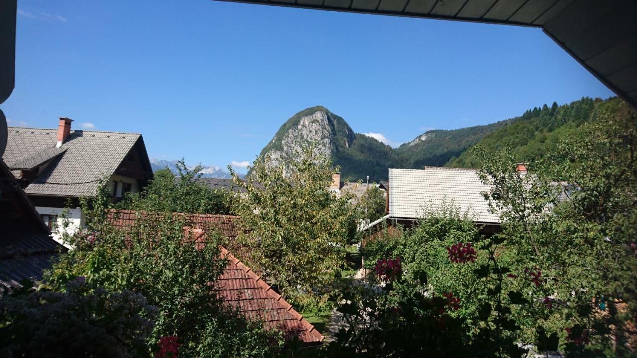 בוהין Apartmaji Marinka Hodnik מראה חיצוני תמונה